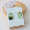 Fern Trap Drops